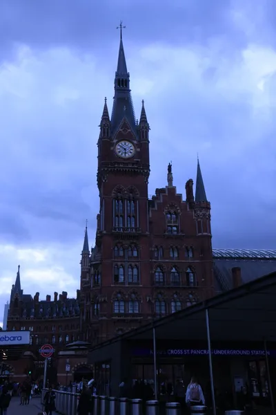 DSC_1590 (Large).JPG